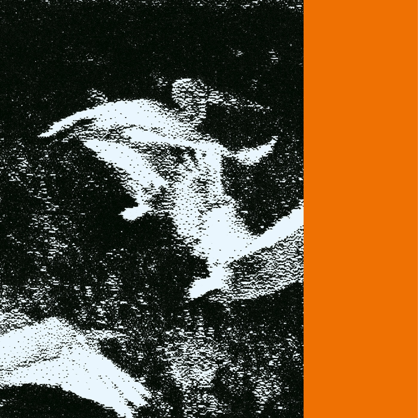 MOTHER HOLOGRAM / SISTER ANAGRAM